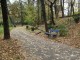 DSCF6960
