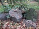 DSCF6963