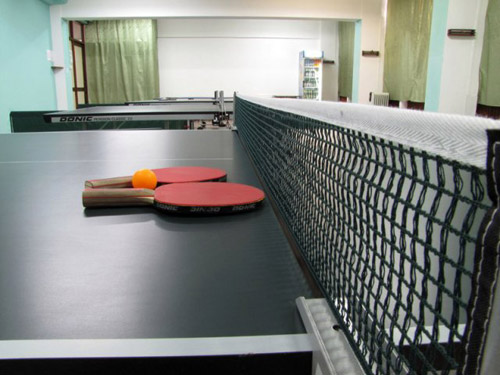 Tenis