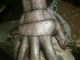Desen8