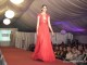 seara-designeri2013sm15