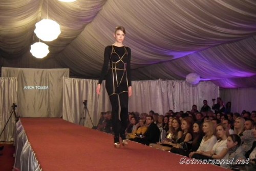 seara-designeri2013sm26