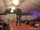 seara-designeri2013sm27