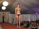 seara-designeri2013sm30