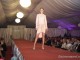 seara-designeri2013sm50
