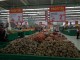 Auchan-sm19