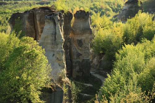 Gradina Zmeilor7