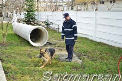 pompieri-satu-mare08