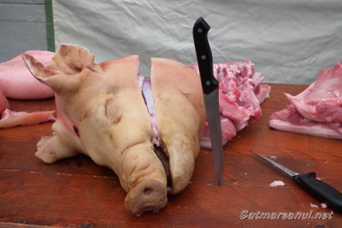 udmr-concurs-taiat-porci26
