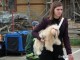 dog-show-sm2014-14