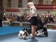 dogshow-satumare-2014-18