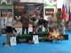 dogshow-satumare-2014-19