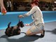 dogshow-satumare-2014-22