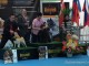 dogshow-satumare-2014-27