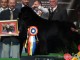 dogshow-satumare-2014-30