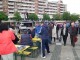 festivalul-vinului-sm14