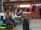 festivalul-vinului-sm15