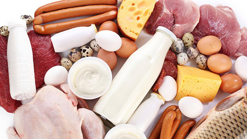 meat-&-dairy-infoALIMENT