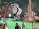 week-end-udmr-sm06
