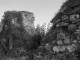 cetatea-medies26