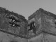 cetatea-medies50