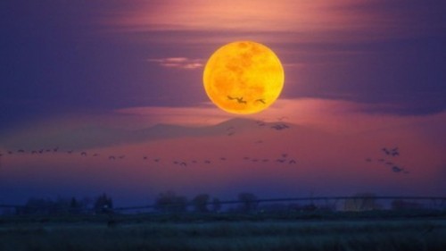 Super Luna