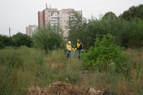 DSCF3484