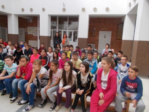 Activitati1