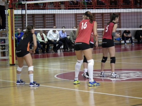 volei