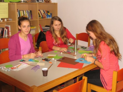 Voluntari3