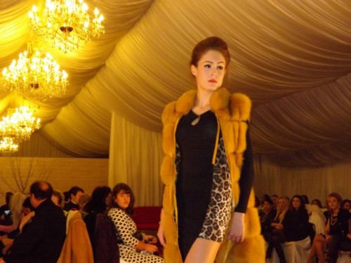 Moda3