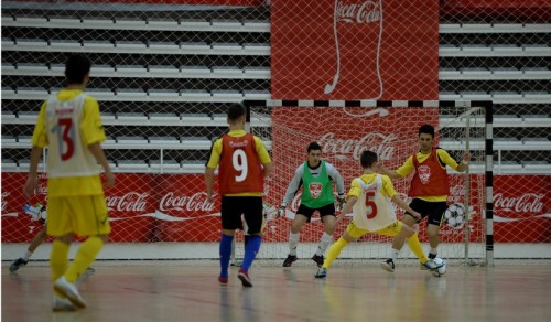 Cupa1