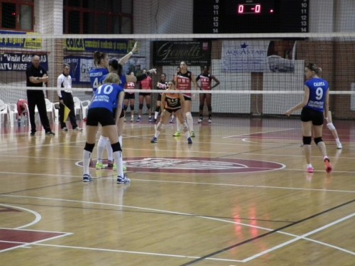 Volei8