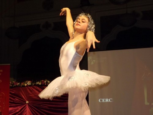 DSCF8808
