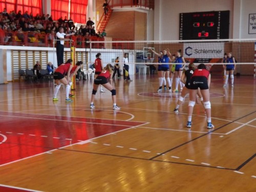 Volei4