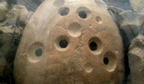craniu