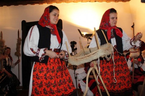 sezatoare ng oas (6)