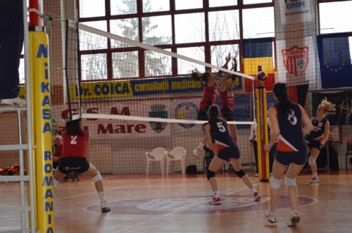 volei6