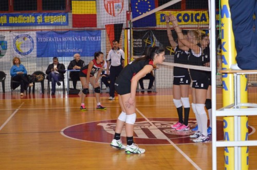 volei6