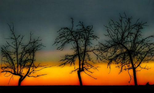 #3 - Three Treesk