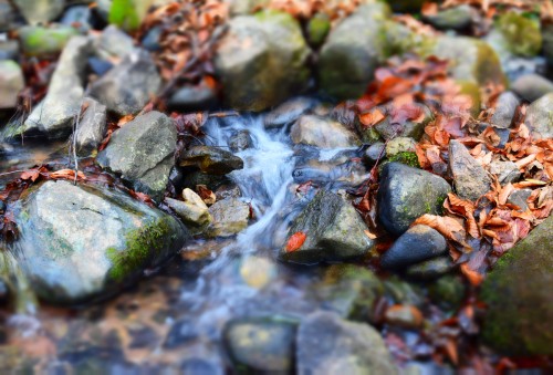 DSC_0057k