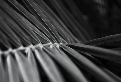 DSC_0298k