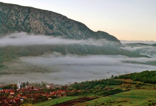 DSC_1314qk
