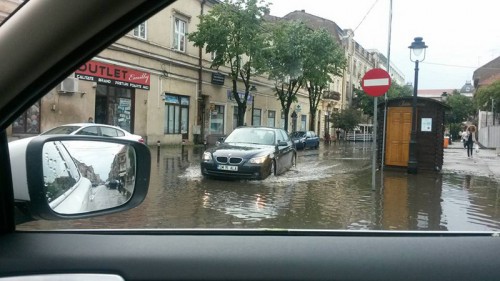anamaria-van-dooren