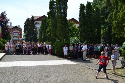 ziua eroilor negresti oas 2015 - 6