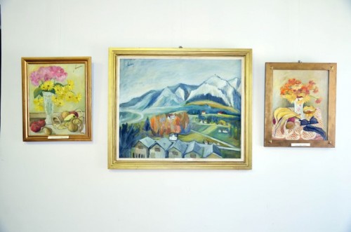 Expo Carei1
