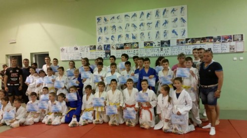 judo
