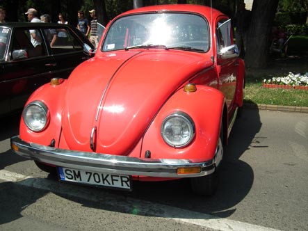 masini14