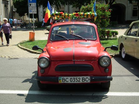 masini25