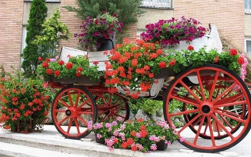 parada florilor